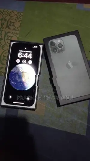 Apple iPhone 13 Pro Max (Used)