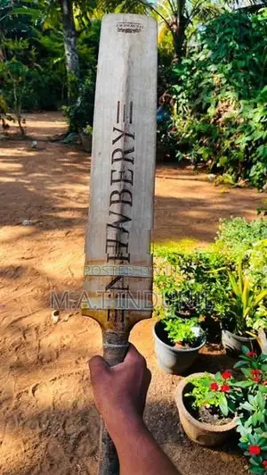 Cricket Bat
