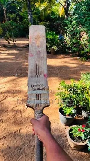 Cricket Bat