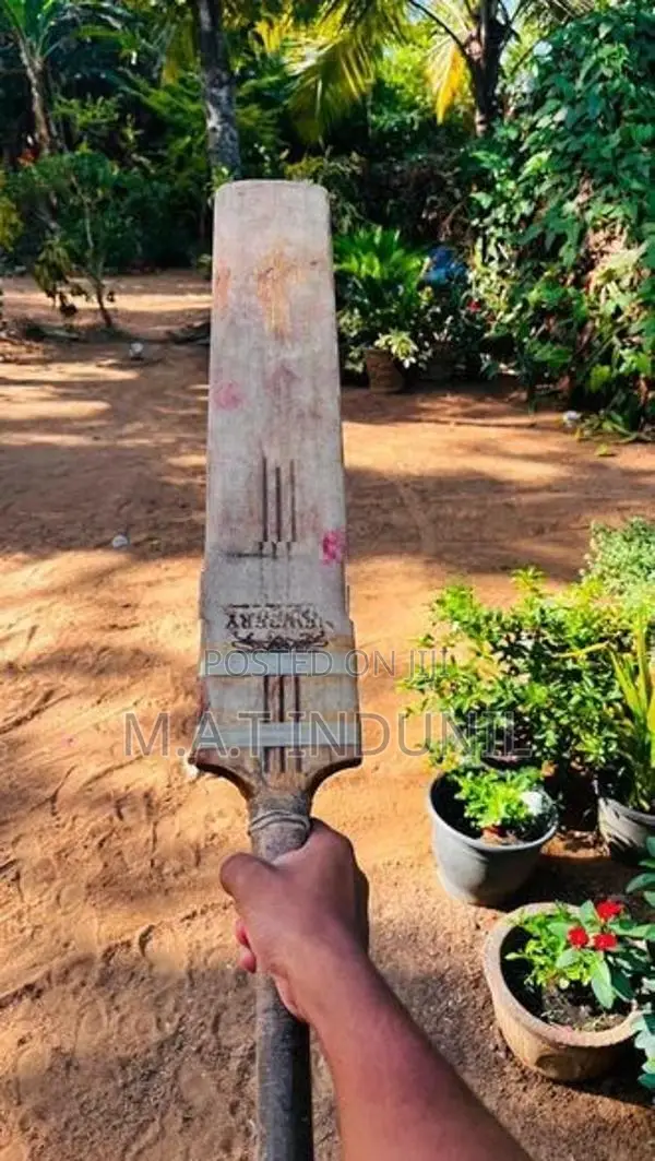 Cricket Bat