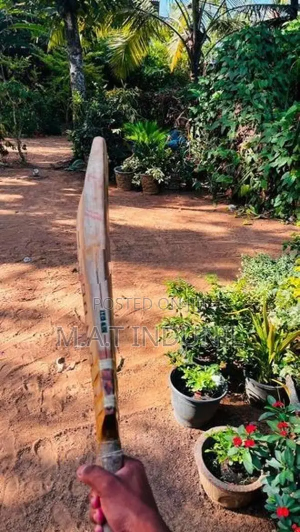 Cricket Bat