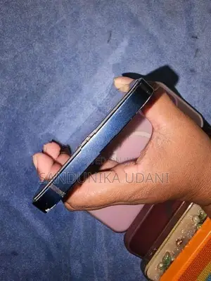 Apple iPhone 12 (Used)