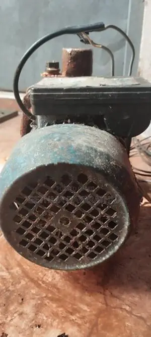Singer Water Pump