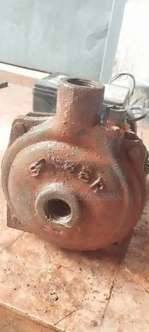 Singer Water Pump