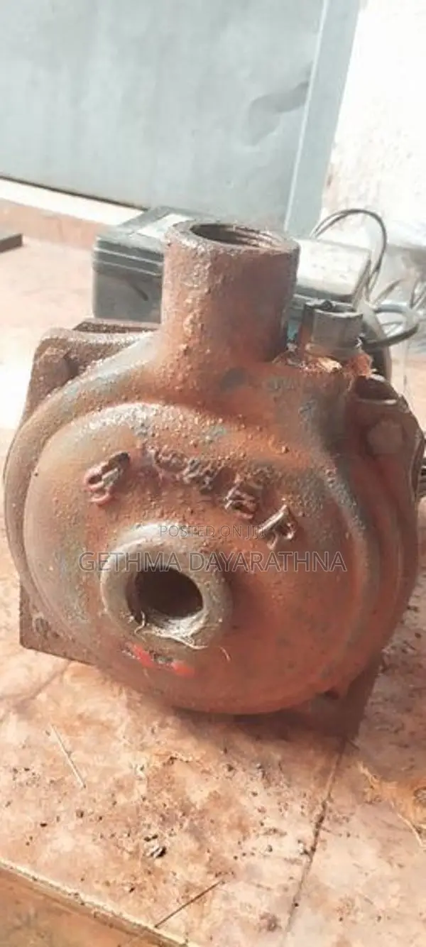 Singer Water Pump