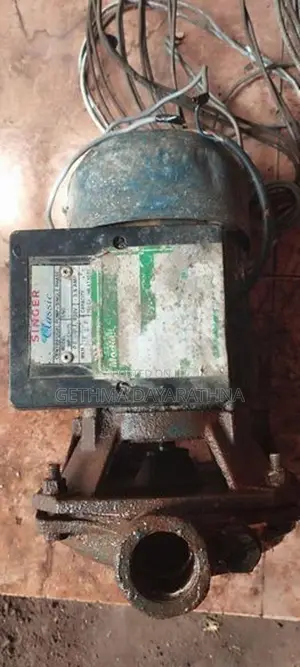 Singer Water Pump