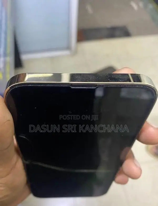 Apple iPhone 13 Pro Max (Used)