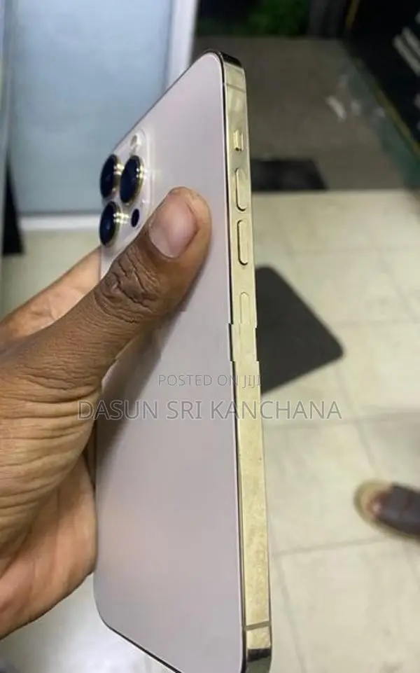 Apple iPhone 13 Pro Max (Used)
