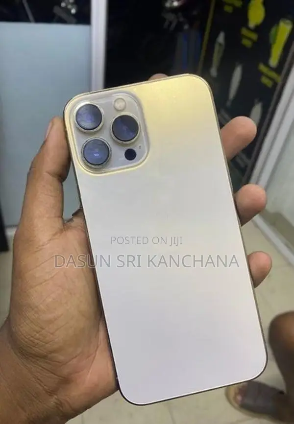 Apple iPhone 13 Pro Max (Used)