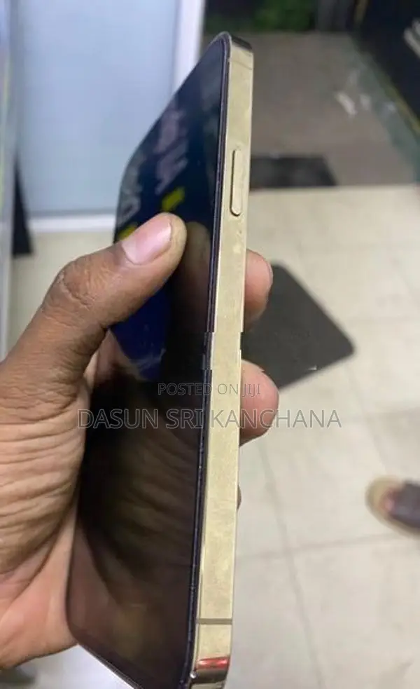 Apple iPhone 13 Pro Max (Used)