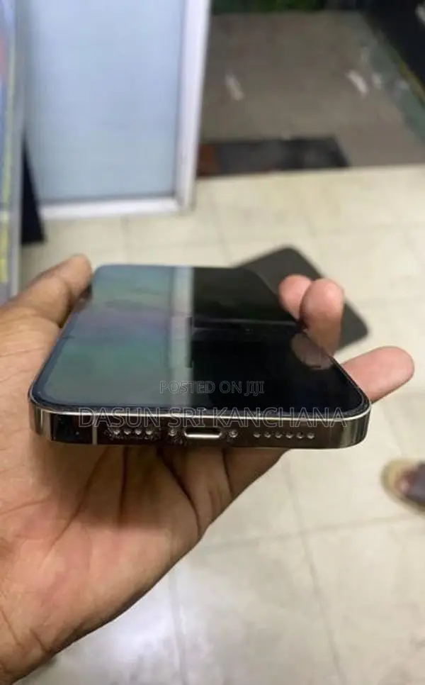Apple iPhone 13 Pro Max (Used)