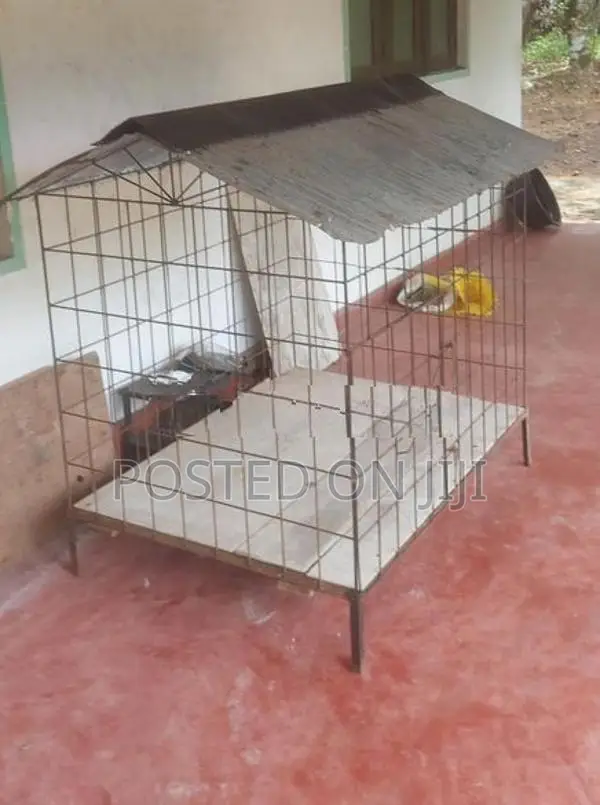 Dog Cage