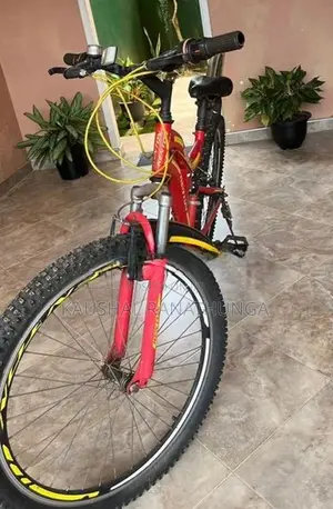 Kenton Bicycle