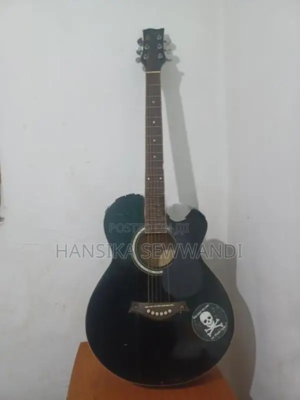 Guitar