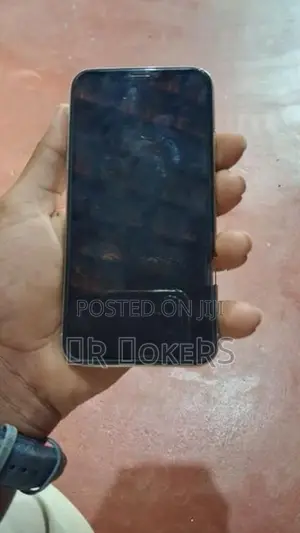 Apple iPhone X (Used)