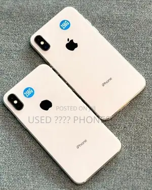 Apple iPhone X 256GB (Used)