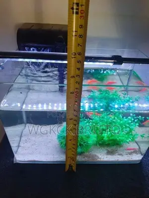 Fish Tank
