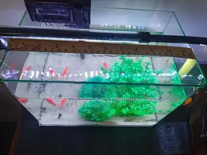 Fish Tank