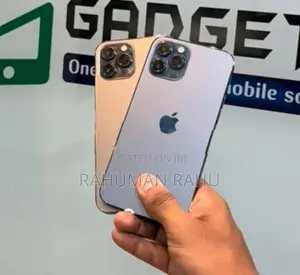 Apple iPhone 12 Pro Max 256GB (Used)