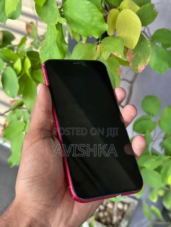 Apple iPhone 11 (Used)