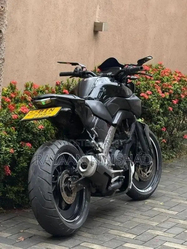 Yamaha MT 15 2019