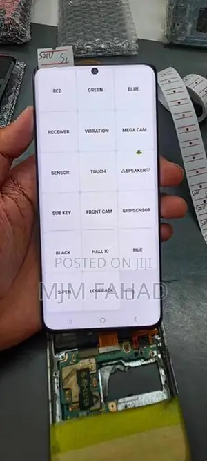 Samsung s21 Ultra Dot Display
