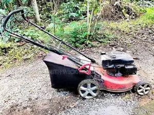 Two Petrol Lawn Mowers