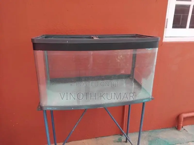 Fish Tank