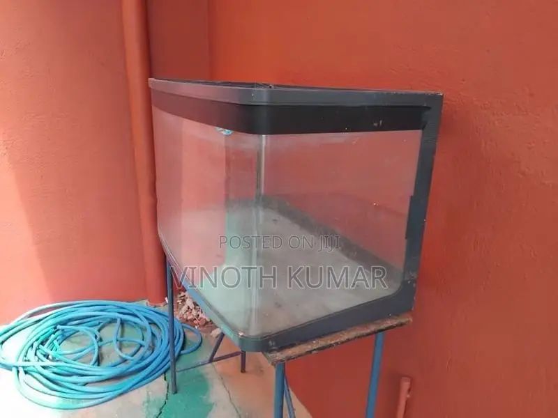 Fish Tank