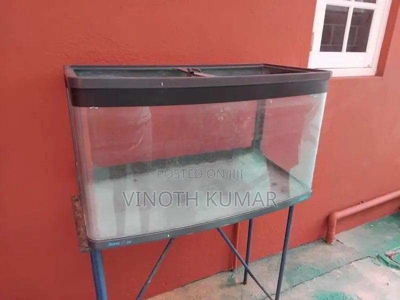 Fish Tank
