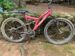 DSI Bicycle
