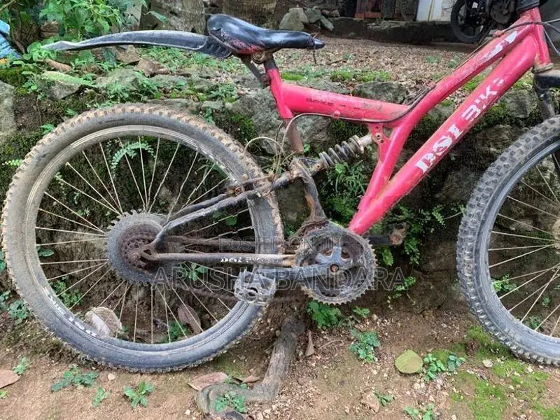 DSI Bicycle