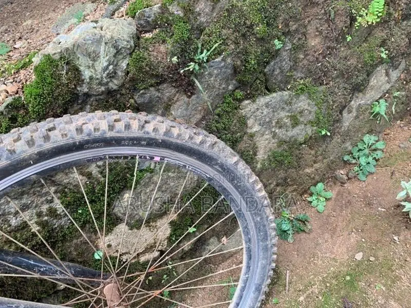 DSI Bicycle