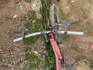 DSI Bicycle