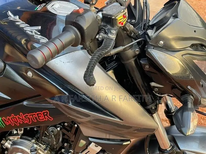 Bajaj Pulsar NS200 2016