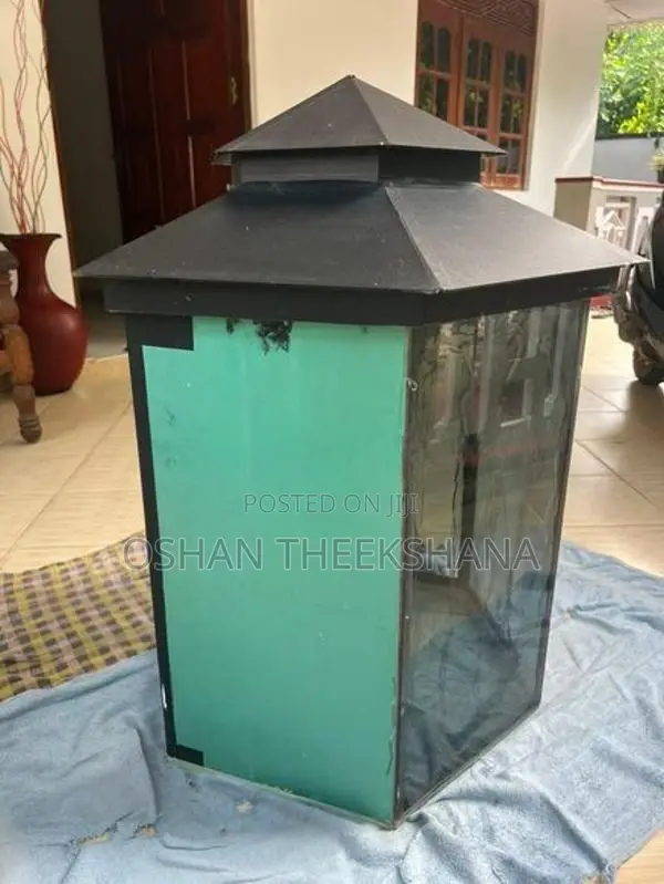 Fish Tank