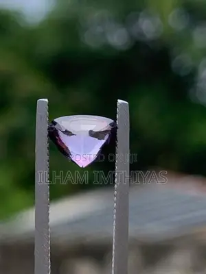 Purple Spinal Gems