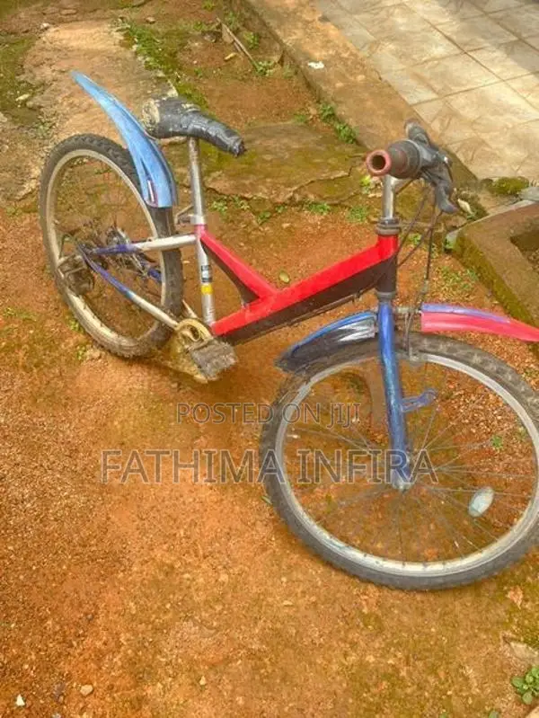 Japan Cycle