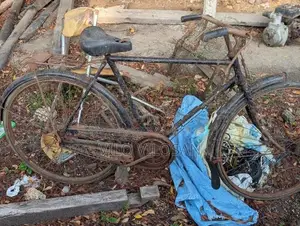 Lumala 4 Used Bicycle