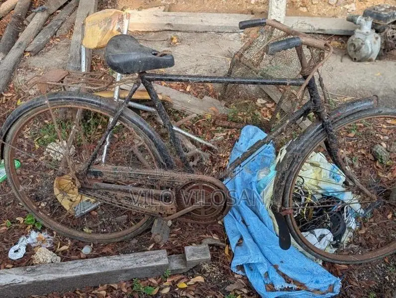 Lumala 4 Used Bicycle