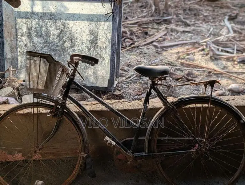 Lumala 4 Used Bicycle