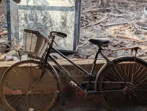 Lumala 4 Used Bicycle