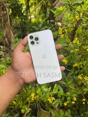 Apple iPhone 12 Pro 256GB (Used)
