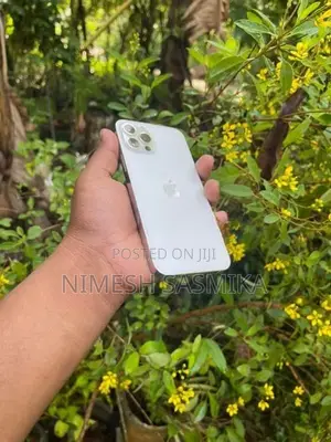 Apple iPhone 12 Pro 256GB (Used)