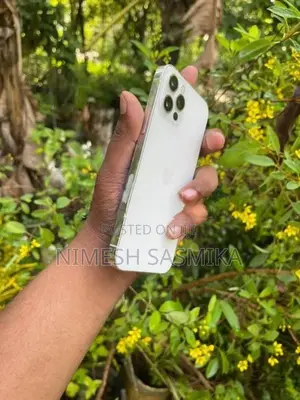 Apple iPhone 12 Pro 256GB (Used)