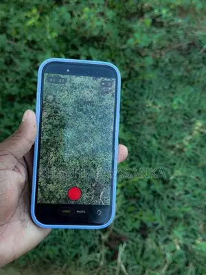 Apple iPhone 15 (Used)