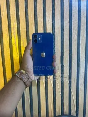 Apple iPhone 12 64GB (Used)