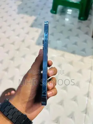 Apple iPhone 13 Pro Max (Used)