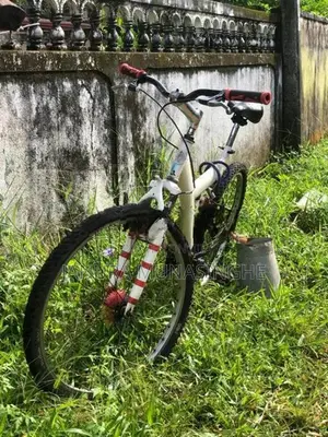 Tomahawk 26inch Bike