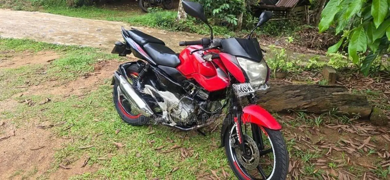 Bajaj Pulsar 135 2013